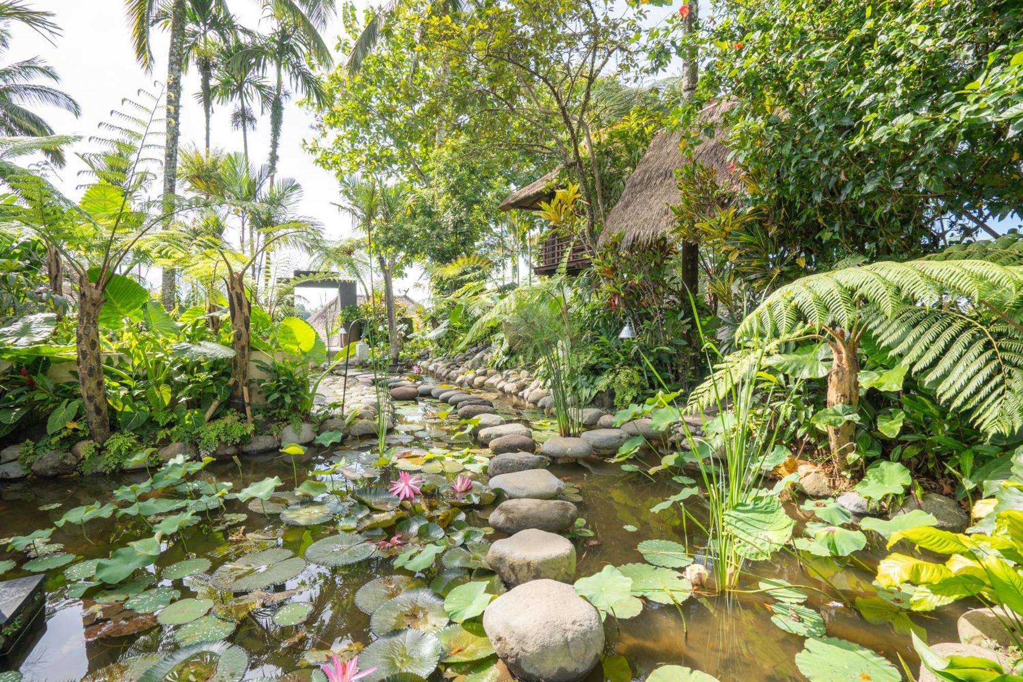 Awan Putih Resort Payangan Eksteriør billede